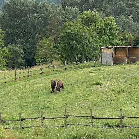 Freedoms Reins Farm Casalborgone